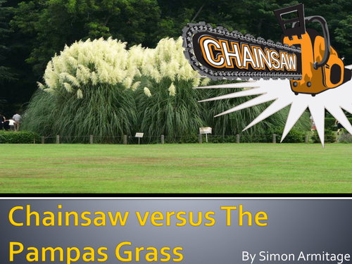 Chainsaw versus the Pampas Grass PowerPoint - Notes and Task