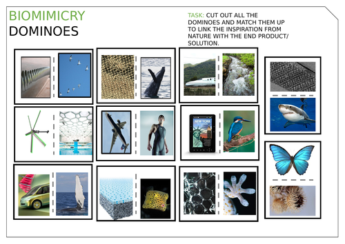 Biomimicry Dominoes & Answers Matching game