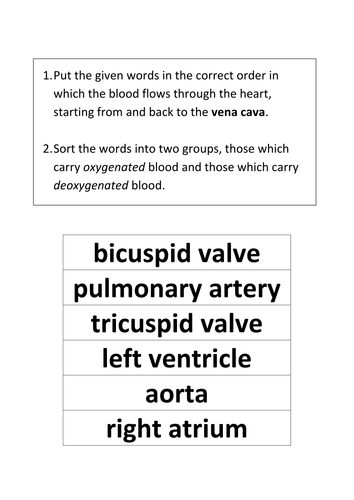 Blood flow, Circulation, Heart, Artery, Vein sequencing Card sort