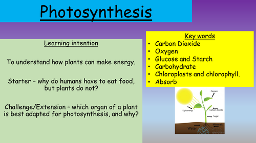 Photosynthesis, Limiting Factors & Uses of Glucose  - AQA