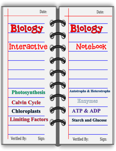 Interactive Biology Notebook