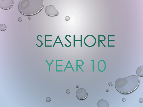 Seashore - Art and Design Textiles & Painting SOW - KS4 Year 10 Year 11 GCSE & BTEC
