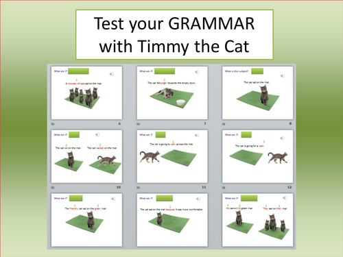 Learn Grammar with Timmy the Cat
