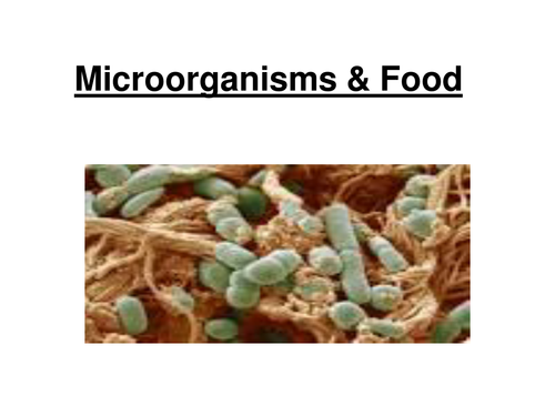 OCR AS Biology - Microorganisms and food.