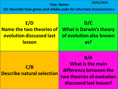 Chromosomes and Genes