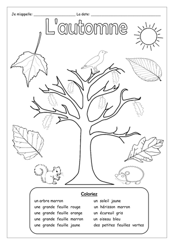 FRENCH - FALL - L'automne - Worsheets