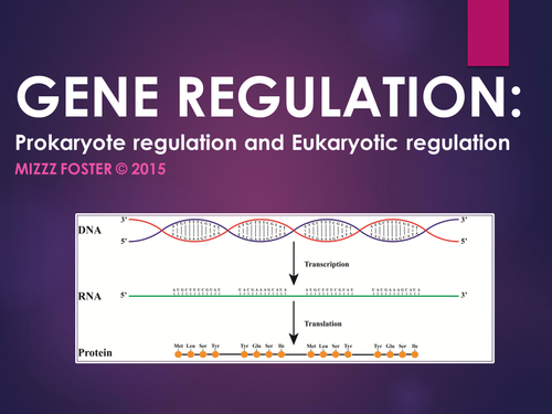 Gene Regulation: Prokaryotic (Lac Operon) and Eukaryotic Regulation Power Point