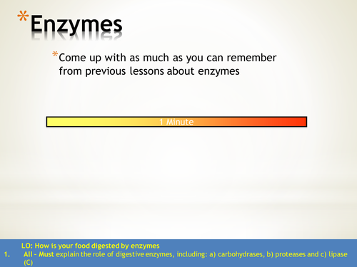 Enzyme revision powerpoint and work sheet KS3-KS4