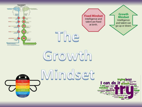 The Growth Mindset (Maths)