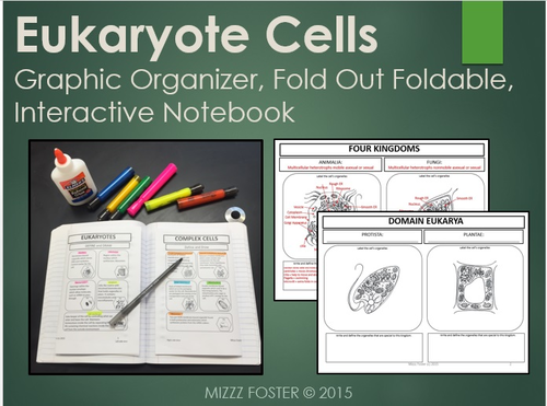 Eukaryote Cells: Graphic Organizer, Fold-Out Foldable, Interactive Notebook
