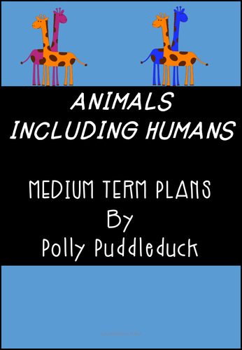 Animals- Science Medium Term Plan
