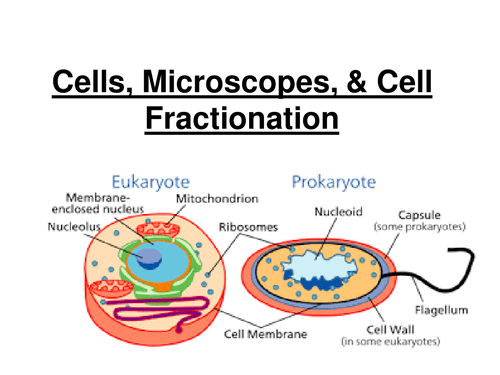 New AQA AS Biology - Cells, Cell Fractionation & Microscopes