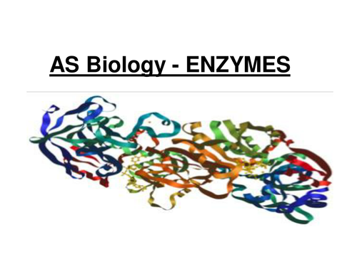 New AQA AS Biology - Enzymes