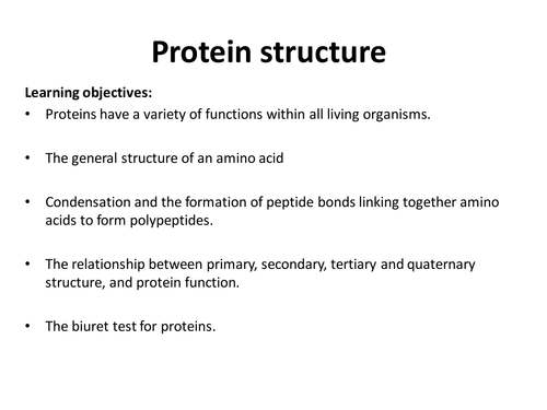 From 2015 AS AQA Biological molecules lesson 5 Proteins