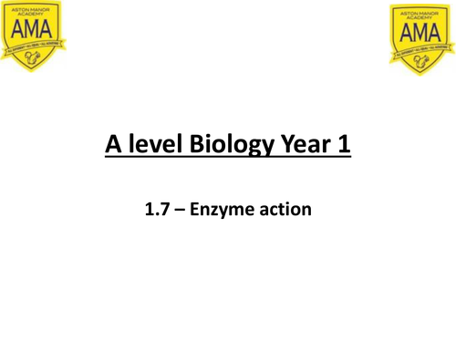 AQA A level Biology New Spec 1.7-1.8 Enzymes