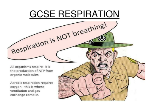 GSCE Respiration PPT
