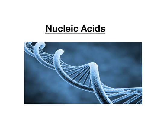AS BIOLOGY - Nucleic Acids