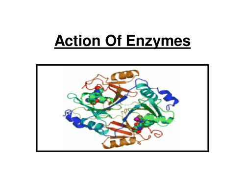 OCR AS Biology - Action Of Enzymes