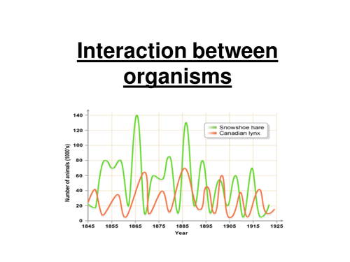 GCSE - Interaction Between Organisms