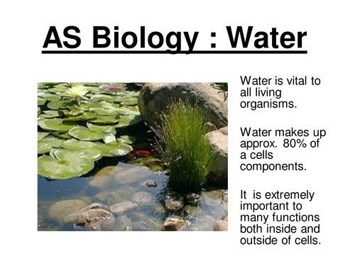 New AS BIOLOGY - Properties Of Water