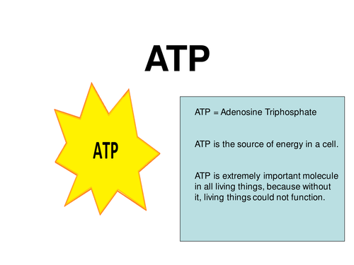 New AQA AS Biology - ATP & Inorganic Ions