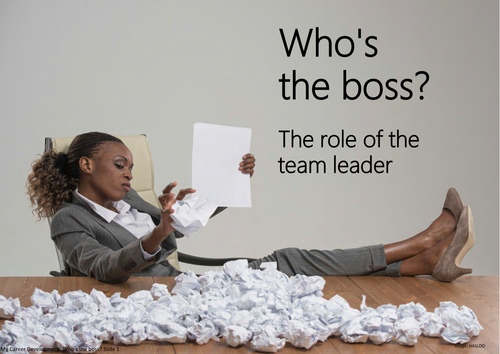 Who's the boss? The role of the team leader