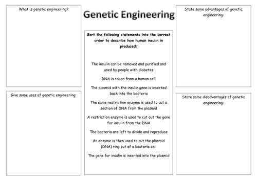 What is genetic engineering
