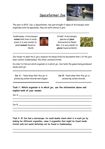 Photosynthesis and Respiration comprehension worksheet