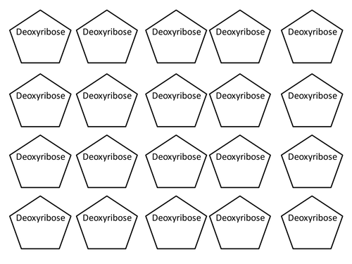 DNA RNA cut and stick