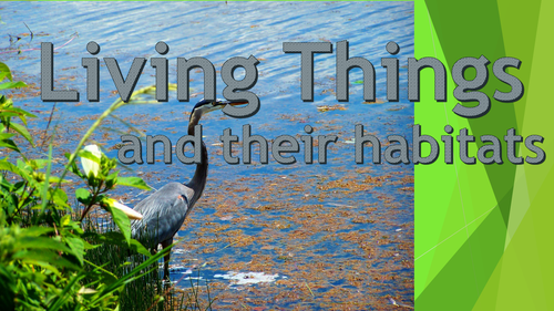 Living Things | Teaching Resources
