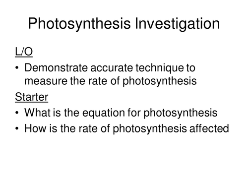 algae balls photosynthesis experiment