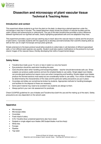 A-level set practicals - dissection and microscopy of a plant stem