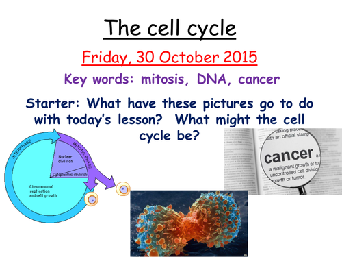 Cell cycle resources for new AQA GCSE