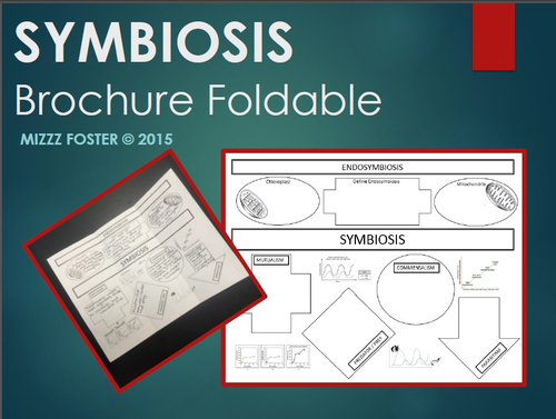 SYMBIOSIS Brochure Foldable, Graphic Organizer, Interactive Notebook