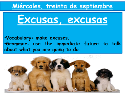 Zoom Spanish 2.  0.5 Excusas, excusas (Immediate future/excuses)