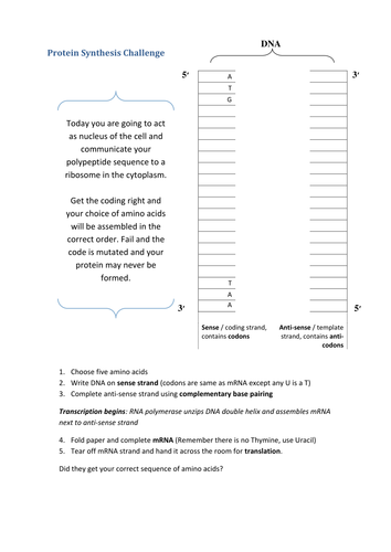 Protein Synthesis Challenge