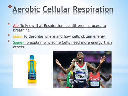 Aerobic Respiration