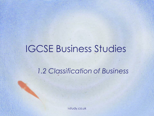 IGCSE Business Studies - Classification of Business
