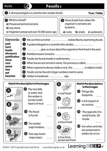 110 ks2 free science worksheets and lesson starters for