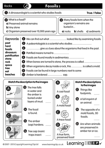 Printables Science Starters Worksheet 110 ks2 free science worksheets and lesson starters for print whiteboard tablets fossils by adpwalker1 teaching resources