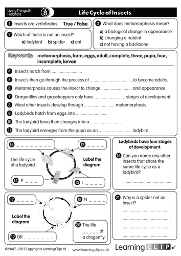 110 KS2 FREE Science Worksheets And Lesson Starters For Print 