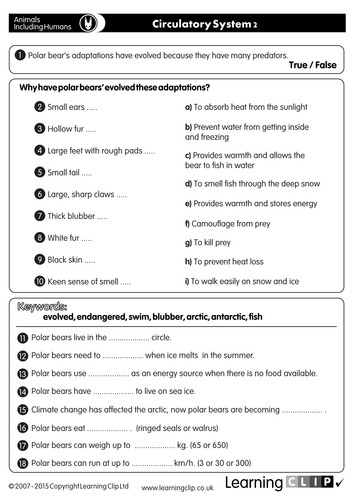 110 KS2 FREE Science Worksheets And Lesson Starters For