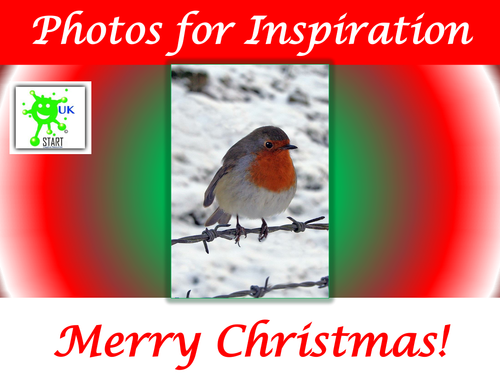 Christmas Photographs for Inspiration. Fully Editable.