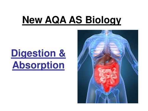 New AQA  AS Biology - Digestion & Absorption