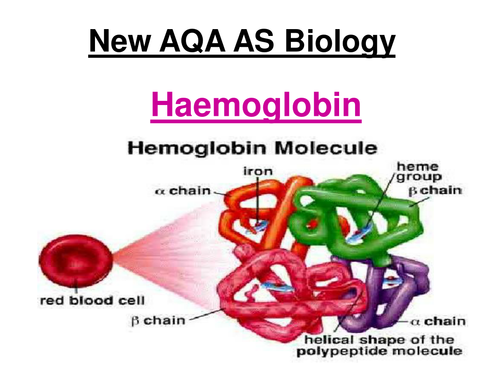 haemoglobin biology aqa tes resources