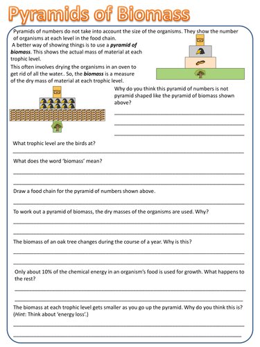 Pyramids of Biomass