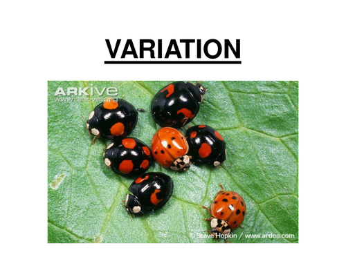 GCSE Biology - Variation & Variation Graphs