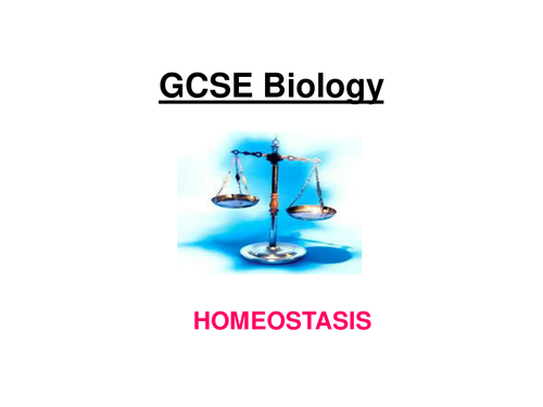 GCSE Biology - Homeostasis (Temp, blood glucose & water) 18 slide power point + 3 w/sheets