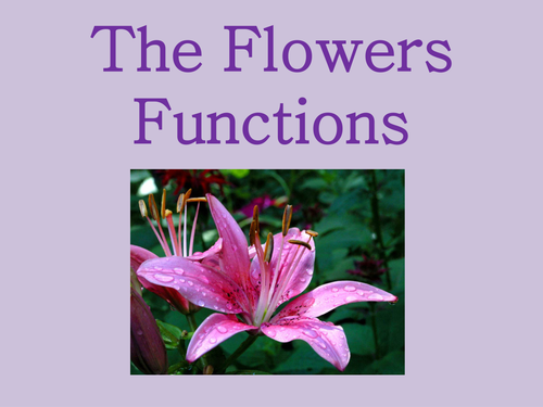 Flowe Functions 