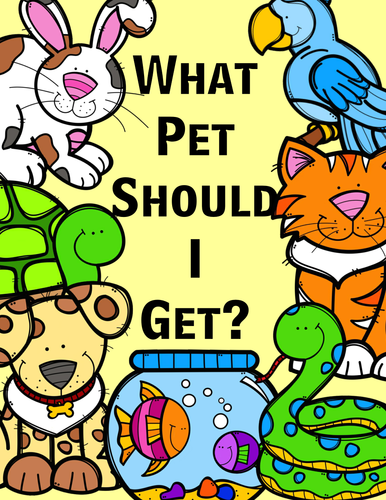 Peter's Pet what, food, Colour. Pets what's wrong.